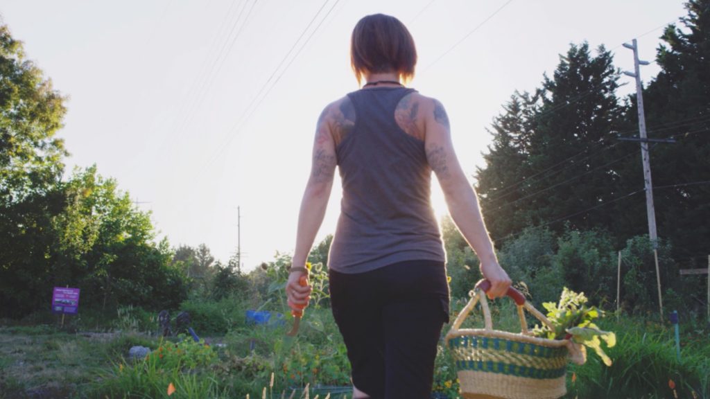 CitySoil Farmer