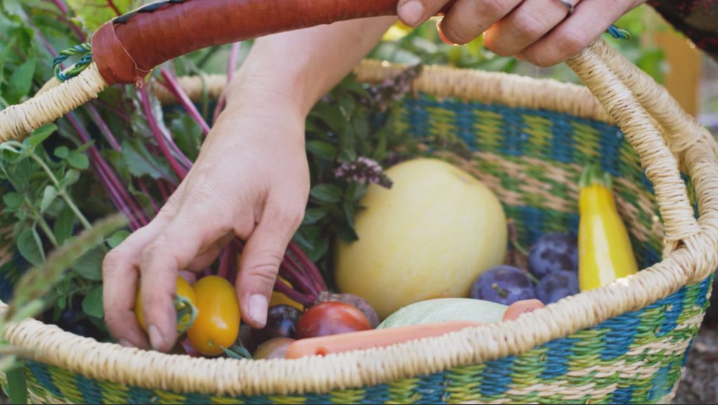 Produce at CitySoil Farm
