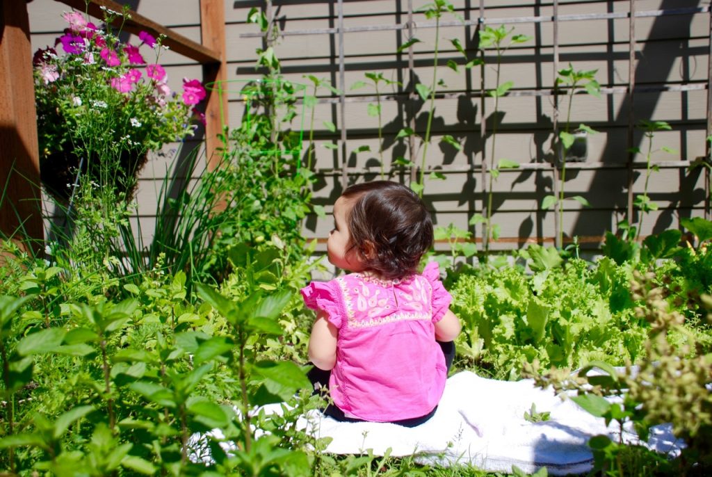 Garden pixie