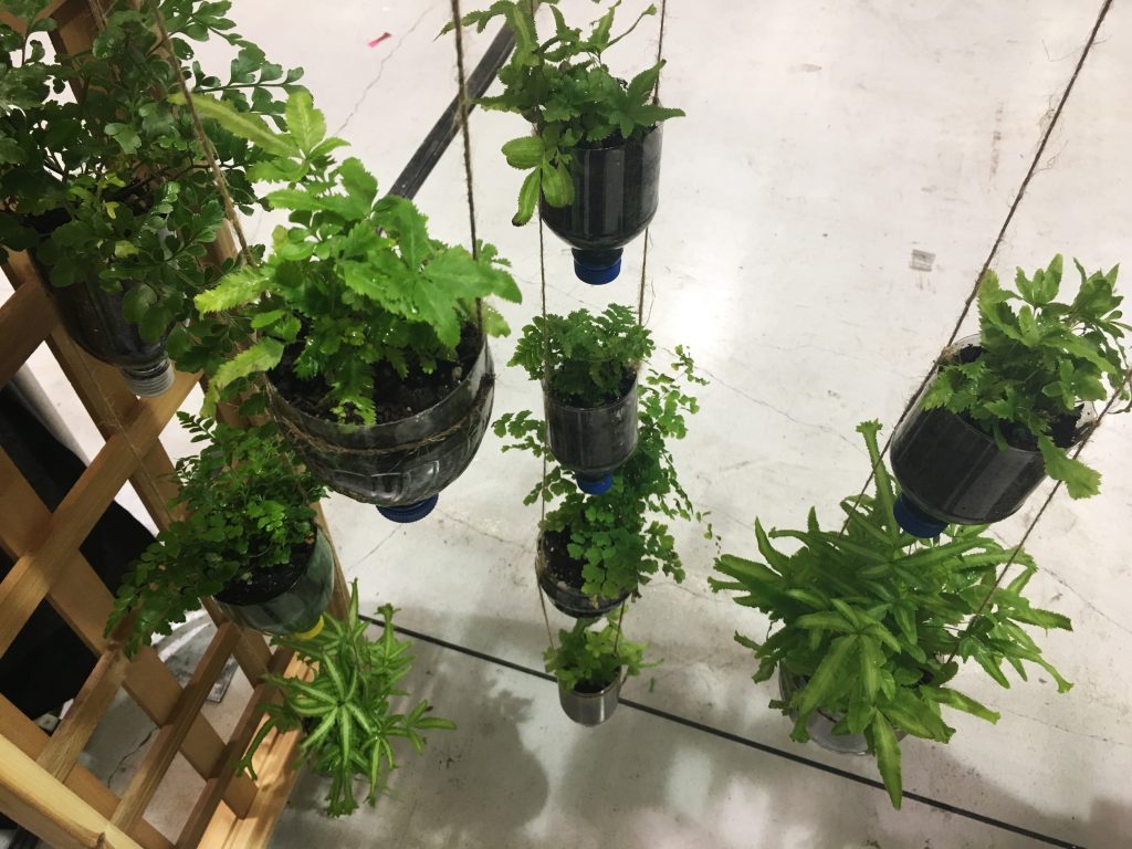 DIY Hanging planter