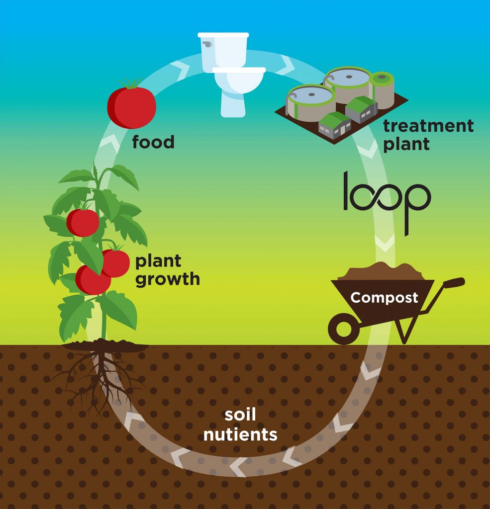 Cycle of Loop